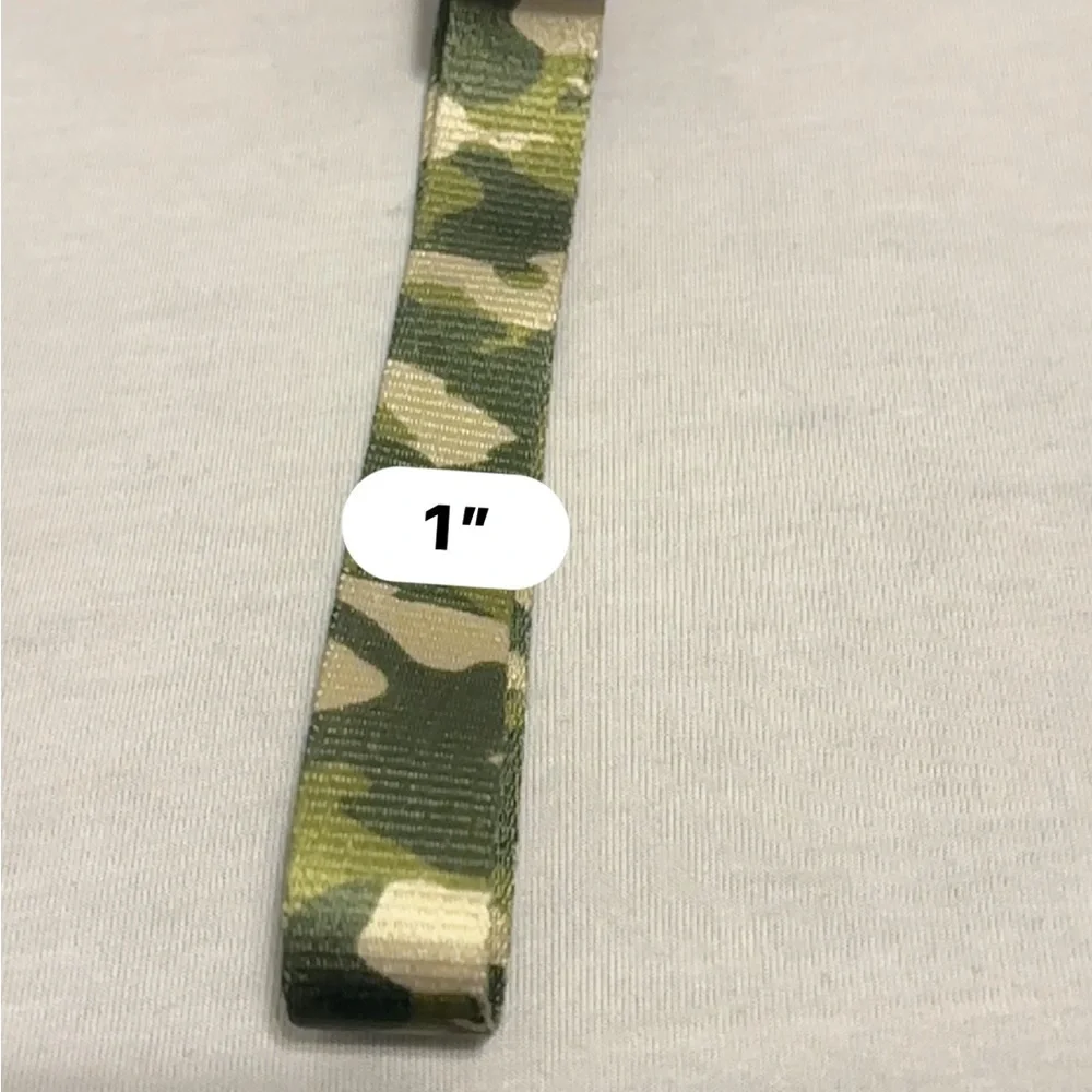 Dog collars & tooth care items